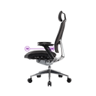 ERGO L