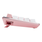 CK721 Sakura Limited Edition