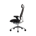 ERGO L