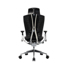 ERGO L