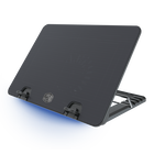 ERGOSTAND IV