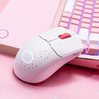 CK721 Sakura Limited Edition