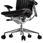 ERGO L