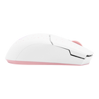 MM712 Sakura