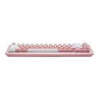 CK721 Sakura Limited Edition