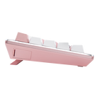 CK721 Sakura Limited Edition
