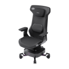 Motion 1 Haptic Gaming Chair